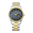 Titan Karishma Wedding Edit Analog with Brown Dial Dual-Tone Yellow Gold and Stainless Steel Strap Watch for Men