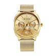 Titan Classique Suave Quartz Yellow Dial Golden Stainless Steel Mesh Strap Watch for Men