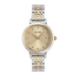 Champagne Dial Watch