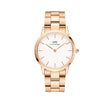 Daniel Wellington Stainless Steel Analog White Dial Unisex's Watch, Band Color-Rose Gold