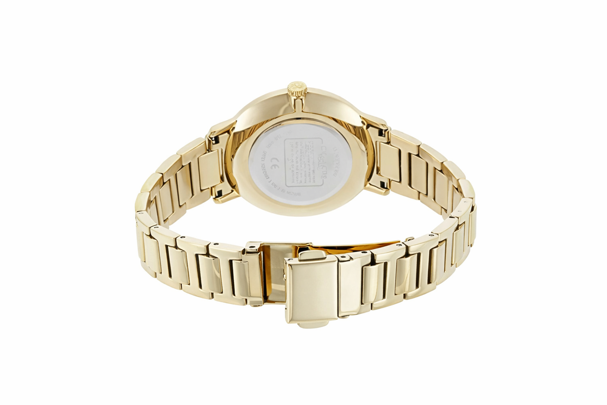 Coach Women's Stainless Steel Analog Watch